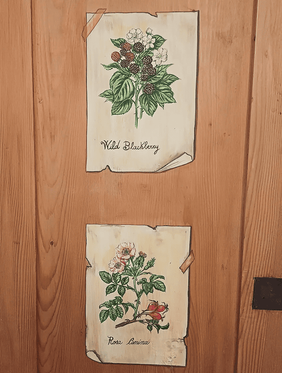 Elideco pdp decorazioni mobili
